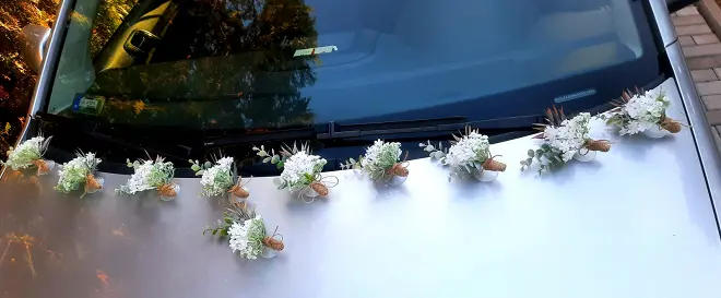 Esküvői autódísz szett